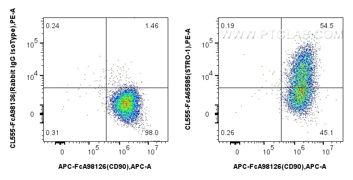 FC experiment of Human Bone marrow mesenchymal stromal cells using CL555-FcA65585 Flow cytometry (FC) experiment of Human Bone marrow mesenchymal stromal cells using FcZero-rAb® CoraLite® Plus 555 Anti-Human STRO-1 ( (CL555-FcA65585)