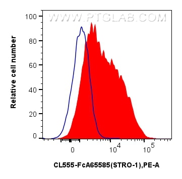 FC experiment of Human Bone marrow mesenchymal stromal cells using CL555-FcA65585 Flow cytometry (FC) experiment of Human Bone marrow mesenchymal stromal cells using FcZero-rAb® CoraLite® Plus 555 Anti-Human STRO-1 ( (CL555-FcA65585)