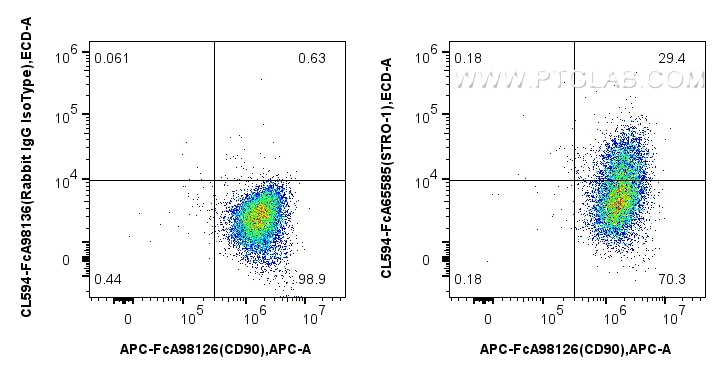 FC experiment of Human Bone marrow mesenchymal stromal cells using CL594-FcA65585 Flow cytometry (FC) experiment of Human Bone marrow mesenchymal stromal cells using FcZero-rAb® CoraLite® Plus 594 Anti-Human STRO-1 ( (CL594-FcA65585)