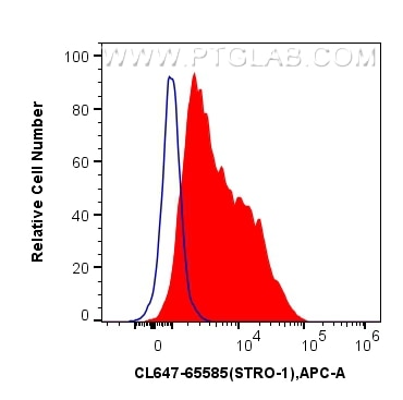 Flow cytometry (FC) experiment of Human Bone marrow mesenchymal stromal cells using CoraLite® Plus 647 Anti-Human STRO-1 (STRO-1) Mous (CL647-65585)