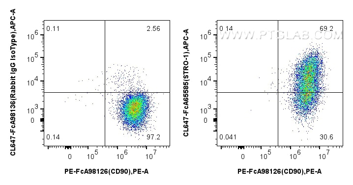 Flow cytometry (FC) experiment of Human Bone marrow mesenchymal stromal cells using FcZero-rAb® CoraLite® Plus 647 Anti-Human STRO-1 ( (CL647-FcA65585)