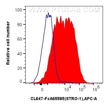 Flow cytometry (FC) experiment of Human Bone marrow mesenchymal stromal cells using FcZero-rAb® CoraLite® Plus 647 Anti-Human STRO-1 ( (CL647-FcA65585)