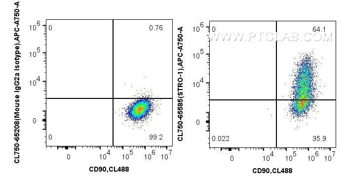 Flow cytometry (FC) experiment of Human Bone marrow mesenchymal stromal cells using CoraLite® Plus 750 Anti-Human STRO-1 (STRO-1) Mous (CL750-65585)