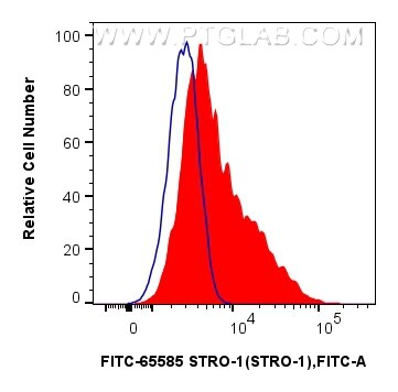 1x10^6 human bone marrow mesenchymal stromal cells were surface stained with 5 ul FITC Plus Anti-Human STRO-1 (STRO-1) Mouse IgG2a RecAb (FITC-65585, Clone: STRO-1) (red) or FITC Plus Mouse IgG2a Isotype Control (C1.18.4) (FITC-65208, Clone: C1.18.4) (blue). Cells were incubated with FC Receptor Block prior to staining. Cells were not fixed. Flow cytometry (FC) experiment of Human Bone marrow mesenchymal stromal cells using FITC Plus Anti-Human STRO-1 (STRO-1) Mouse IgG2a R (FITC-65585)