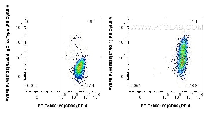 Flow cytometry (FC) experiment of Human Bone marrow mesenchymal stromal cells using FcZero-rAb® PE-Cyanine5.5 Anti-Human STRO-1 (STRO- (PY5P5-FcA65585)