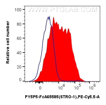 Flow cytometry (FC) experiment of Human Bone marrow mesenchymal stromal cells using FcZero-rAb® PE-Cyanine5.5 Anti-Human STRO-1 (STRO- (PY5P5-FcA65585)