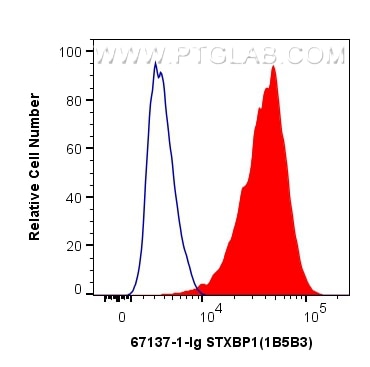 Flow cytometry (FC) experiment of HeLa cells using STXBP1 Monoclonal antibody (67137-1-Ig)