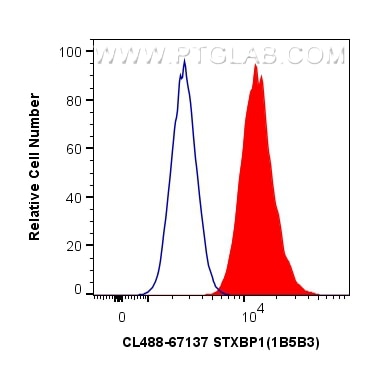 Flow cytometry (FC) experiment of HeLa cells using CoraLite® Plus 488-conjugated STXBP1 Monoclonal an (CL488-67137)