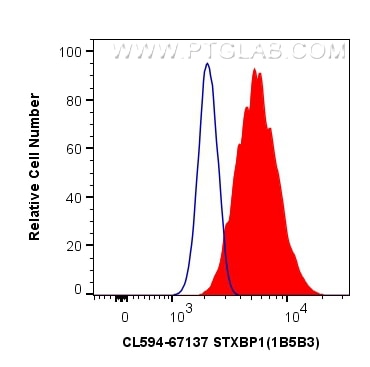 Flow cytometry (FC) experiment of HeLa cells using CoraLite®594-conjugated STXBP1 Monoclonal antibody (CL594-67137)