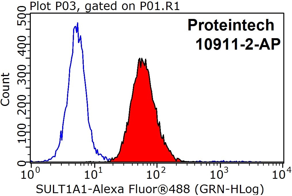 Flow cytometry (FC) experiment of HepG2 cells using SULT1A1 Polyclonal antibody (10911-2-AP)