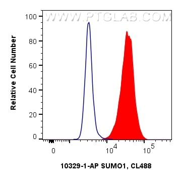 Flow cytometry (FC) experiment of A549 cells using SUMO1 Polyclonal antibody (10329-1-AP)