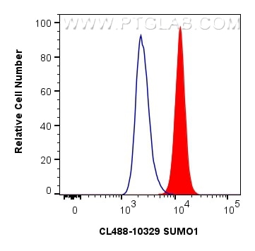 Flow cytometry (FC) experiment of A549 cells using CoraLite® Plus 488-conjugated SUMO1 Polyclonal ant (CL488-10329)