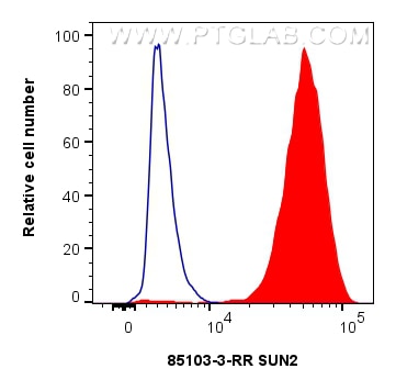 Flow cytometry (FC) experiment of HeLa cells using SUN2 Recombinant antibody (85103-3-RR)