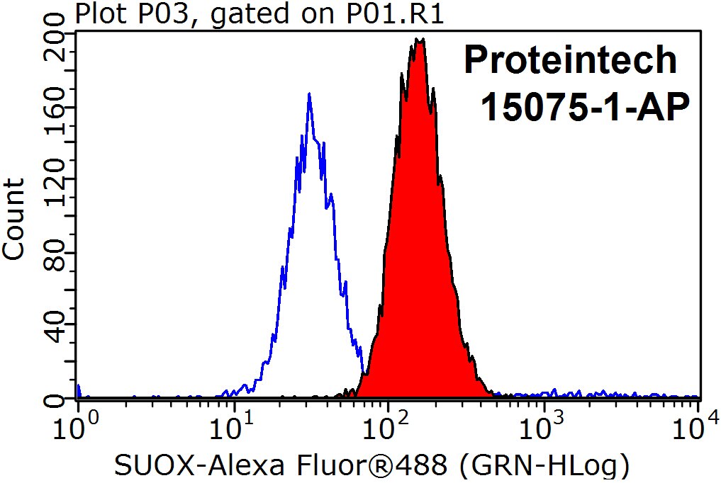 FC experiment of HeLa using 15075-1-AP