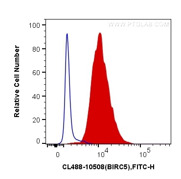 Flow cytometry (FC) experiment of Jurkat cells using CoraLite® Plus 488-conjugated SURVIVIN Polyclonal  (CL488-10508)