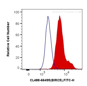 Flow cytometry (FC) experiment of Jurkat cells using CoraLite® Plus 488-conjugated SURVIVIN Monoclonal  (CL488-66495)