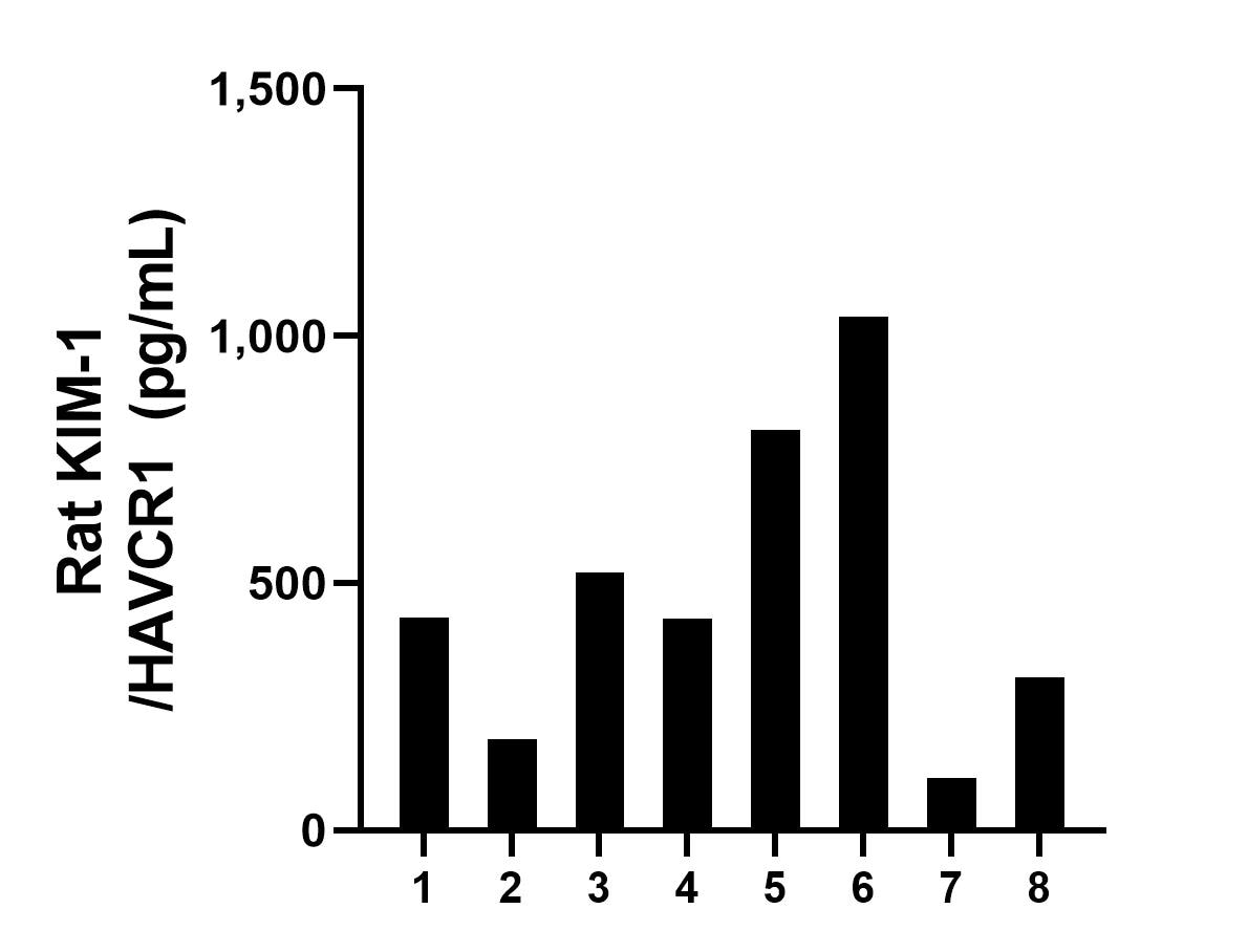 KIM-1/HAVCR1 antibody (83221-1-PBS) | Proteintech