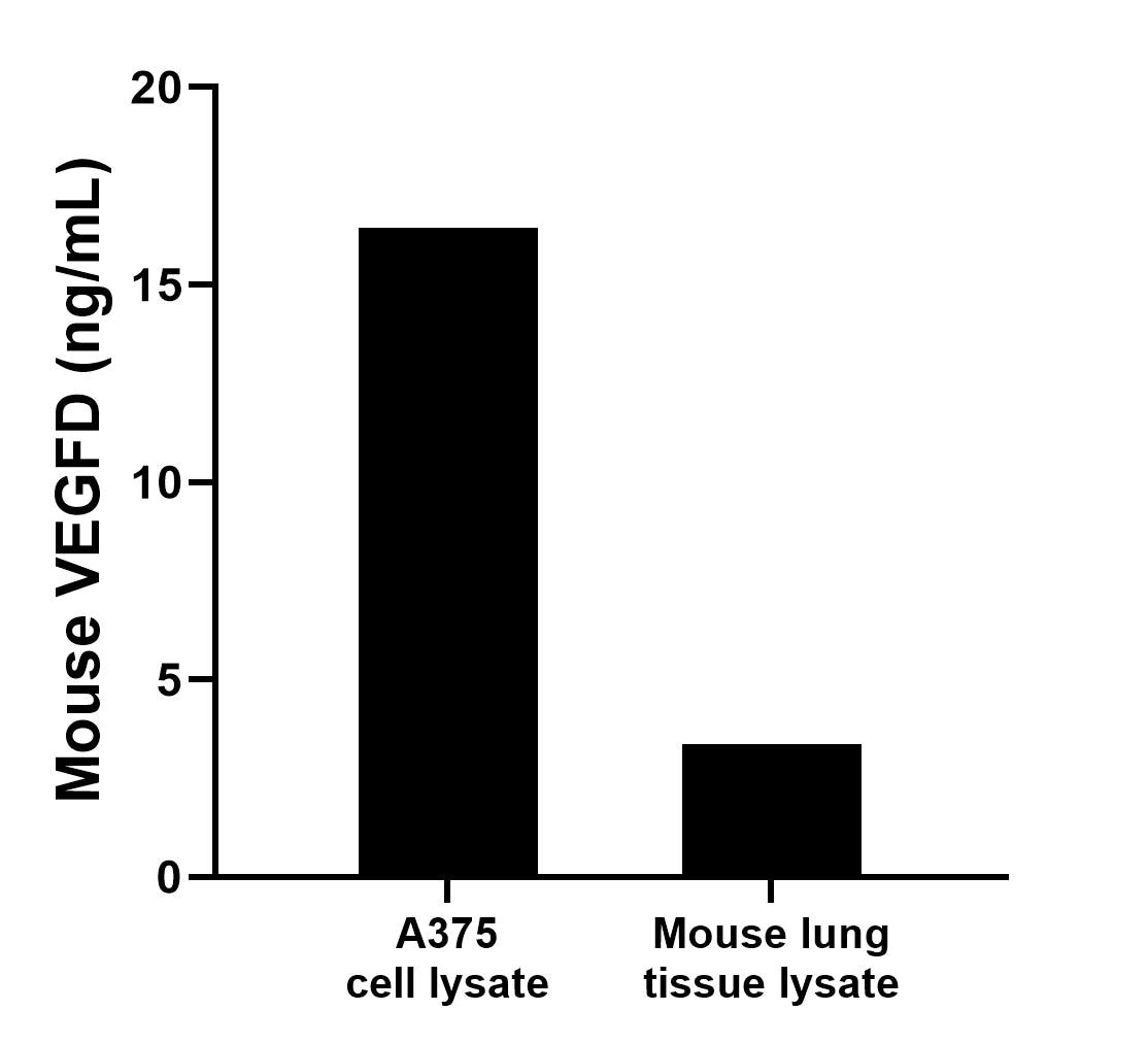 VEGFD antibody (84114-2-PBS) | Proteintech