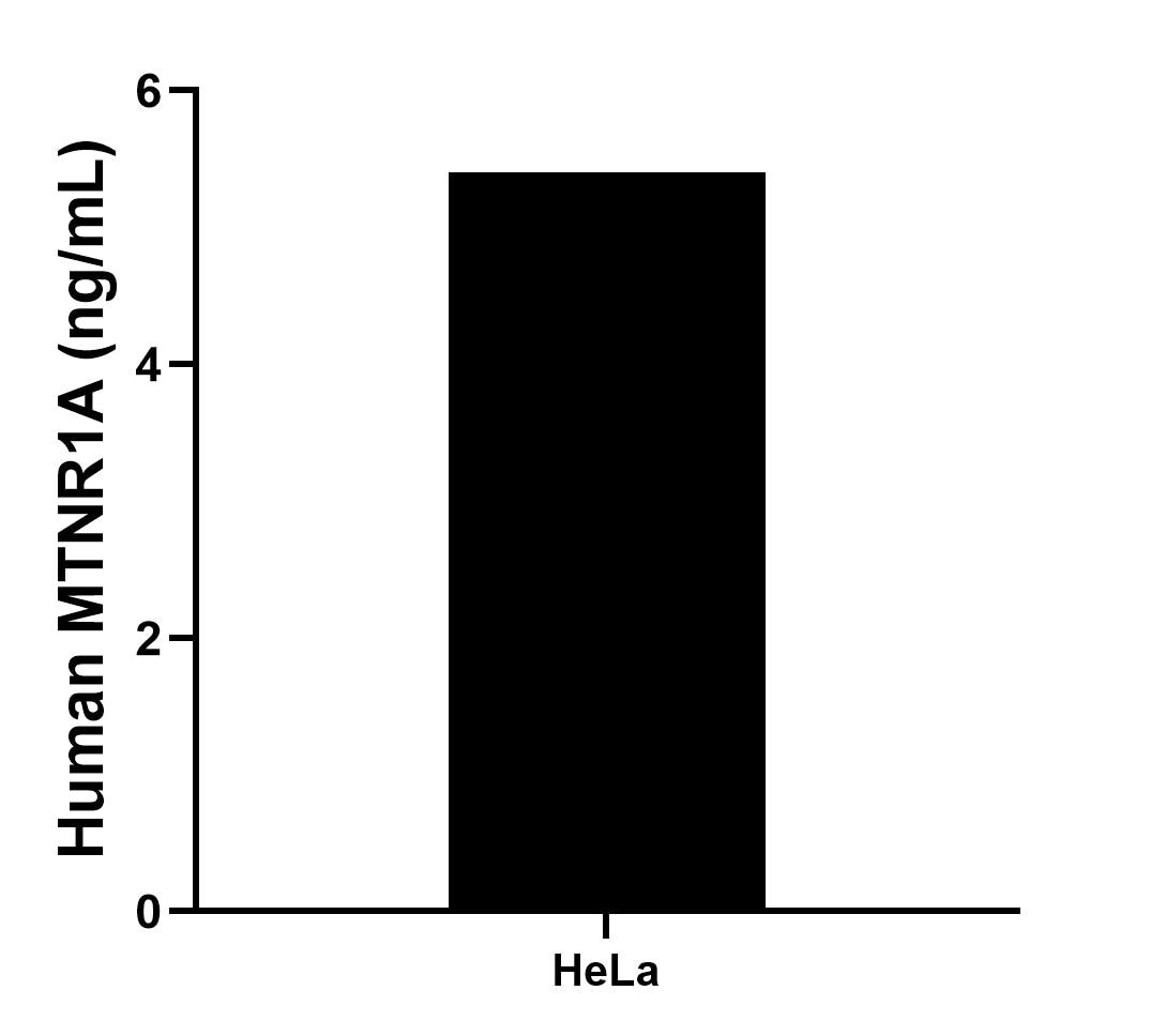 The mean MTNR1A concentration was determined to be 5.40 ng/mL in HeLa cell extract based on a 1.0 mg/mL extract load.