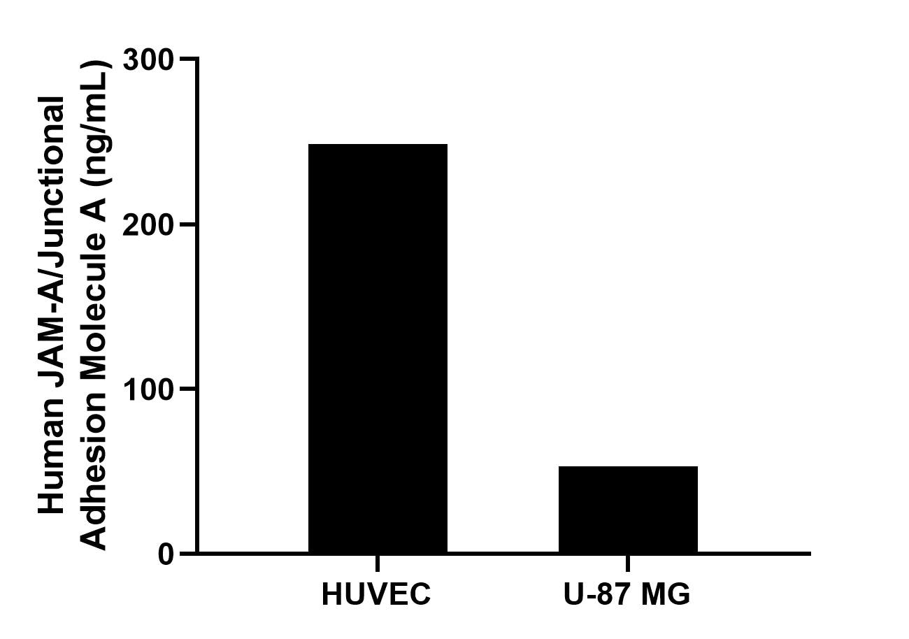 The mean JAM-A/Junctional Adhesion Molecule A concentration was determined to be 248.8 ng/mL in HUVEC cell extract based on a 1.1 mg/mL extract load and 53.3 ng/mL in U-87 MG cell extract based on a 2.0 mg/mL extract load. 