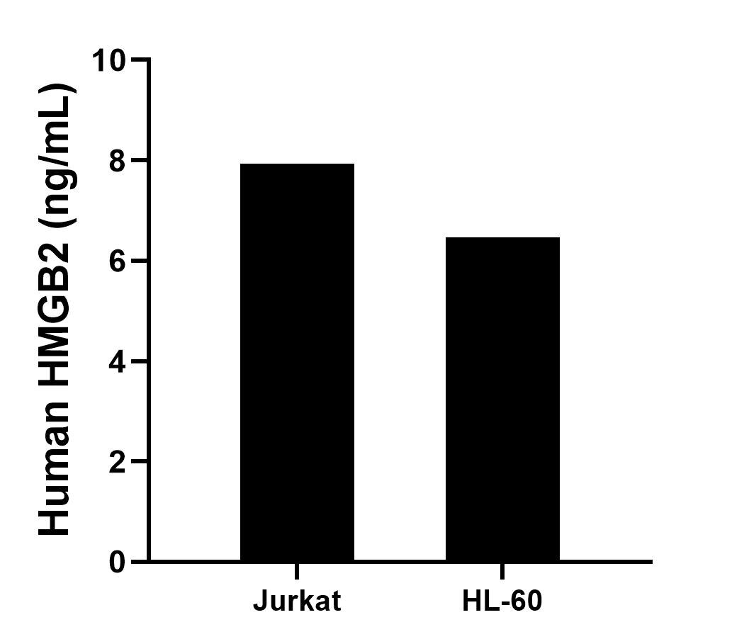 Sample test of MP00480-3