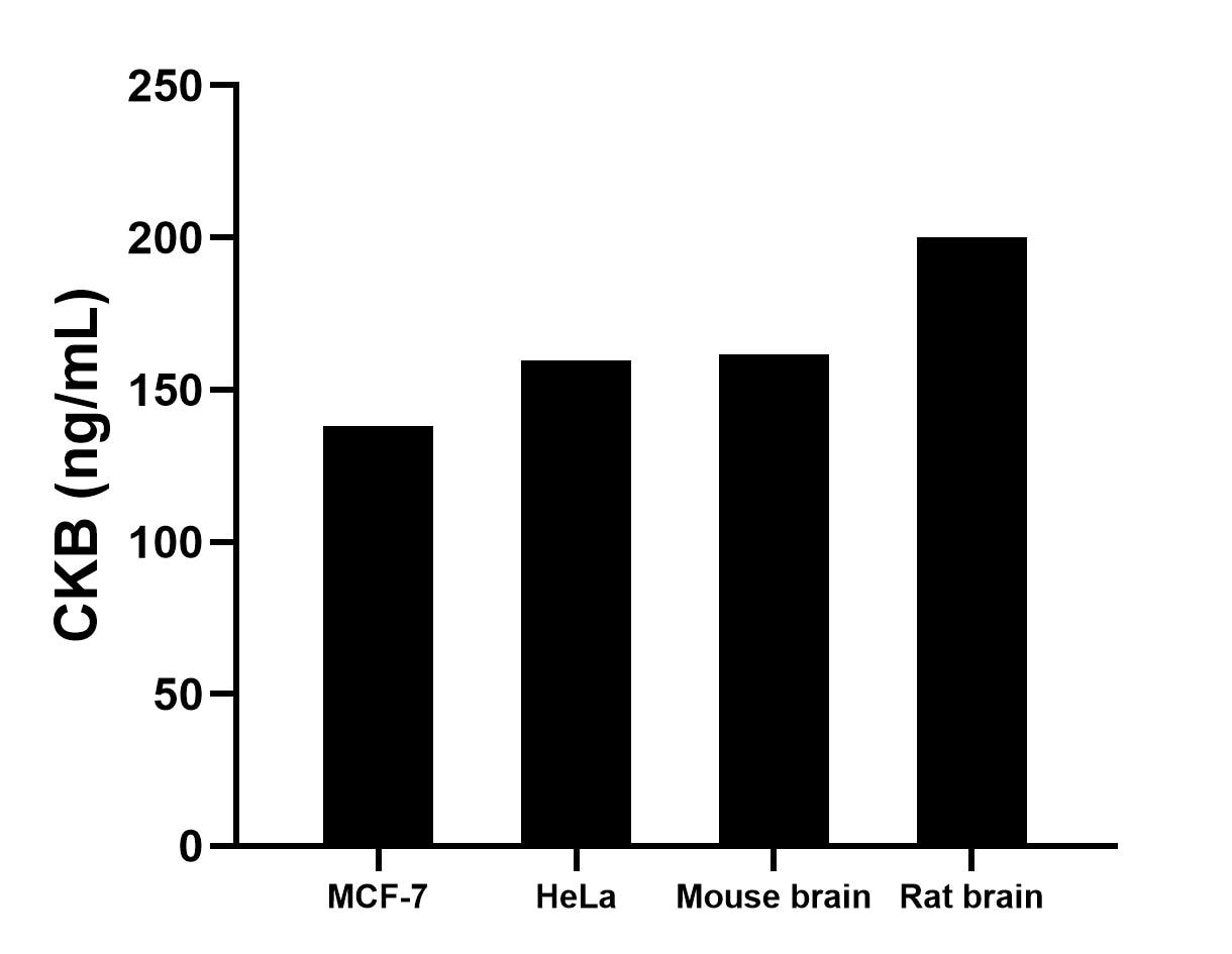 Sample test of MP00504-4