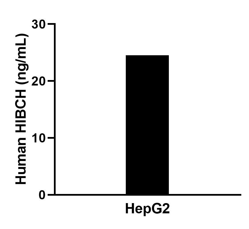 Sample test of MP00560-3