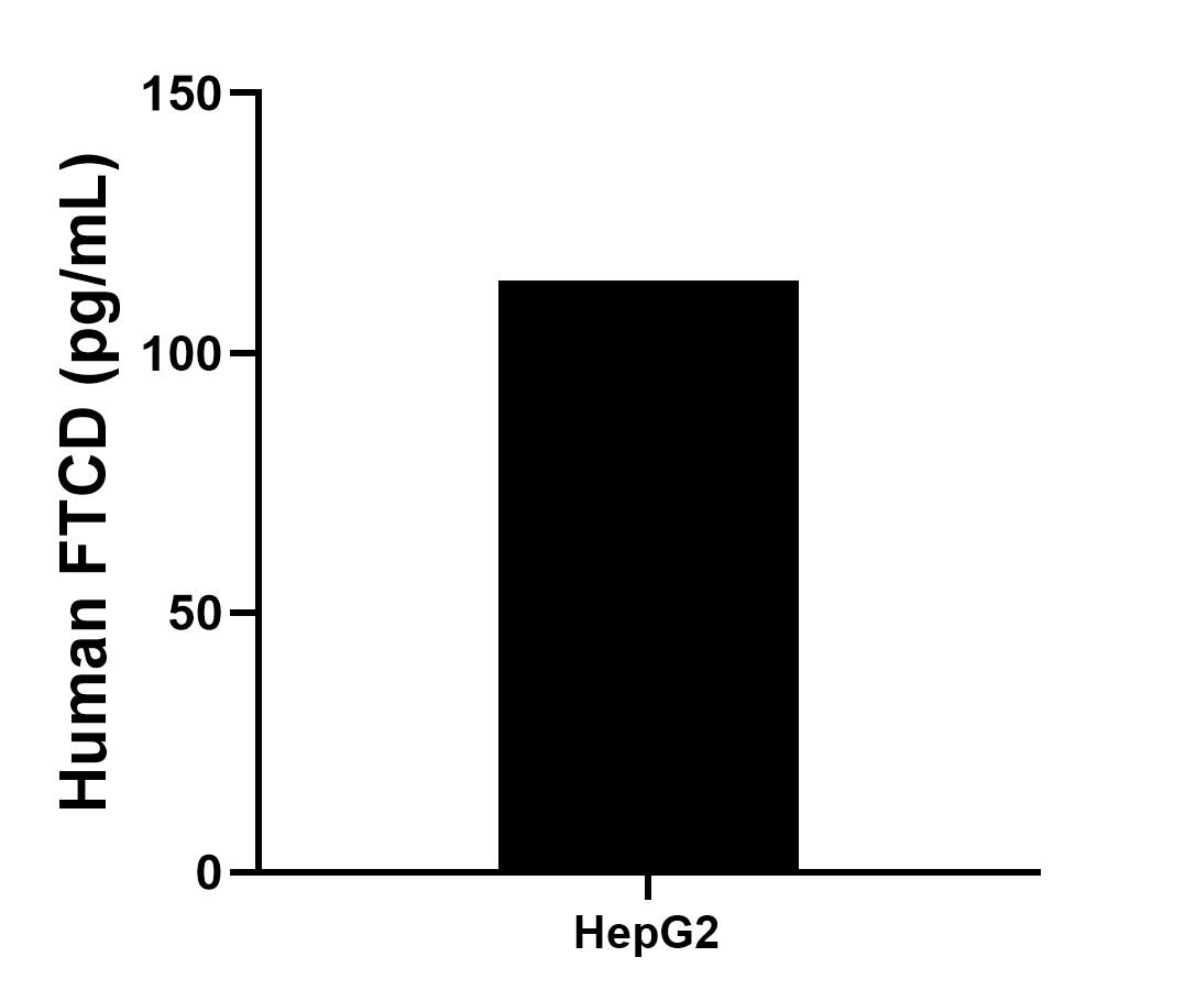 Sample test of MP00636-3