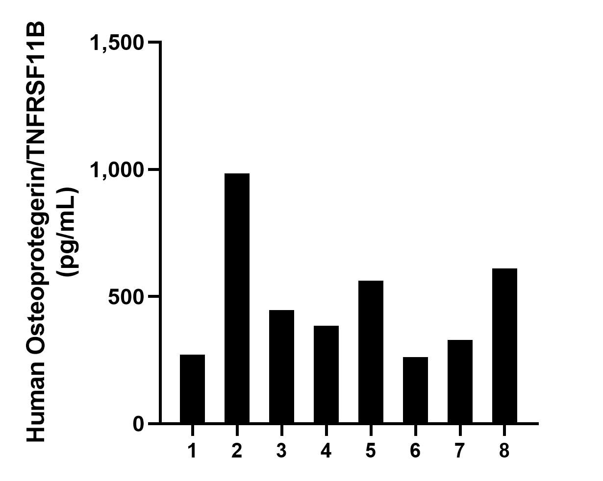 Serum of eight individual healthy human donors was measured. The Osteoprotegerin/TNFRSF11B concentration of detected samples was determined to be 481.2 pg/mL with a range of 262.2-984.8 pg/mL.	