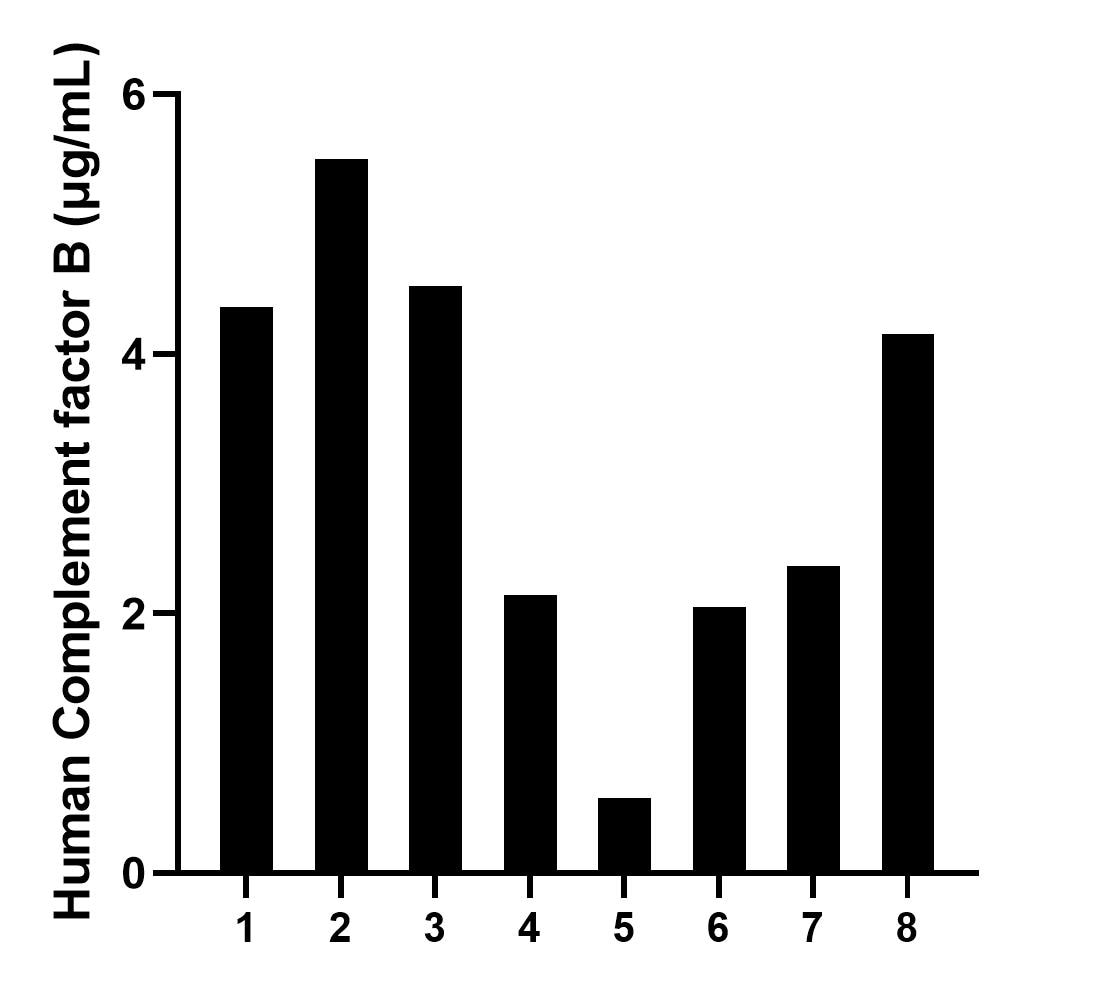 Serum of eight individual healthy human donors was measured. The Complement factor B concentration of detected samples was determined to be 3.2 μg/mL with a range of 0.6-5.5 μg/mL.	