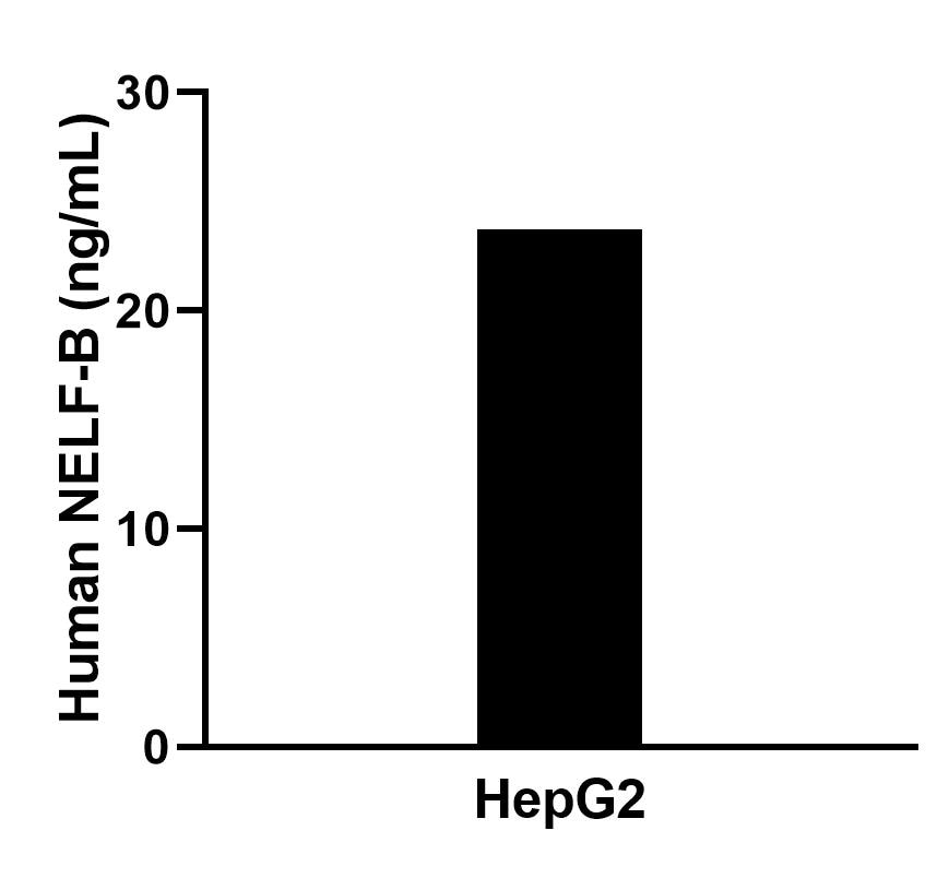 Sample test of MP01055-2