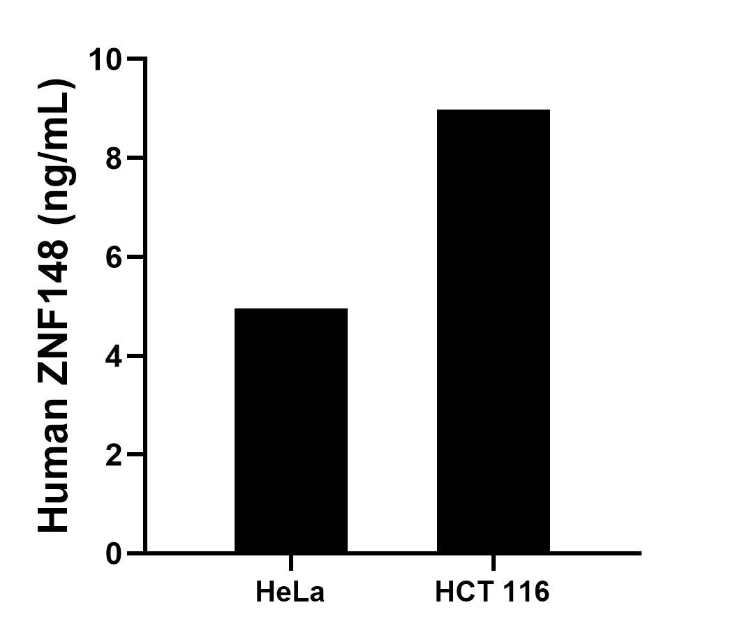 Sample test of MP01253-1