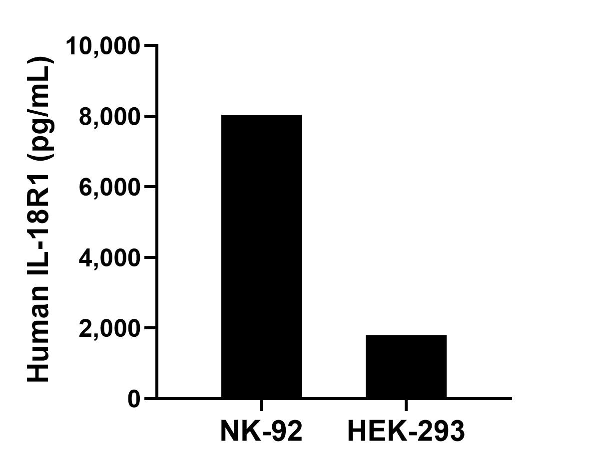 Sample test of MP01261-4