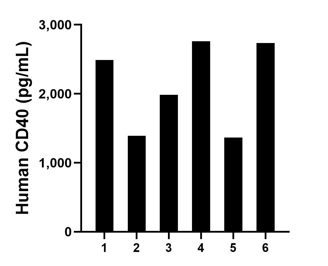 Serum of six individual healthy human donors was measured. The CD40 concentration of detected samples was determined to be 2,121.2 pg/mL with a range of 1,366.2-2,760.0 pg/mL.	