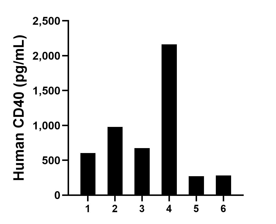 Saliva of six individual healthy human donors was measured. The CD40 concentration of detected samples was determined to be 829.1 pg/mL with a range of 270.5-2,164.5 pg/mL.	