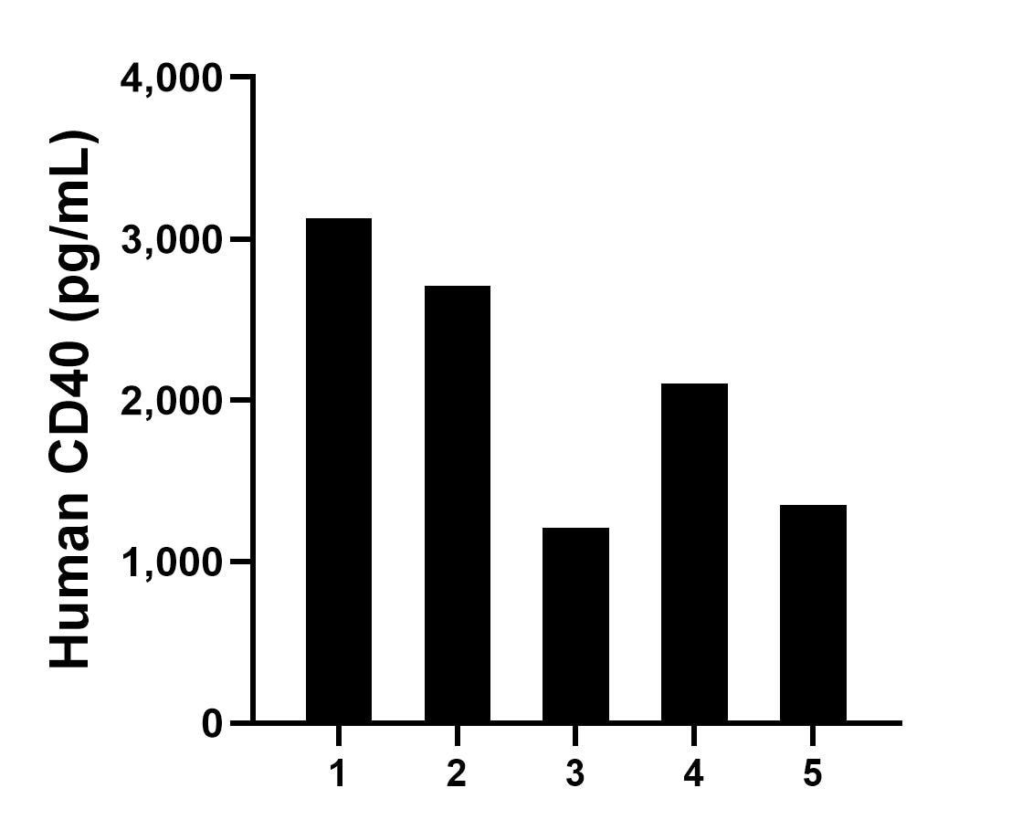 Human milk of five individual healthy human donors was measured. The CD40 concentration of detected samples was determined to be 2,099.7 pg/mL with a range of 1,212.9-3,125.0 pg/mL.	