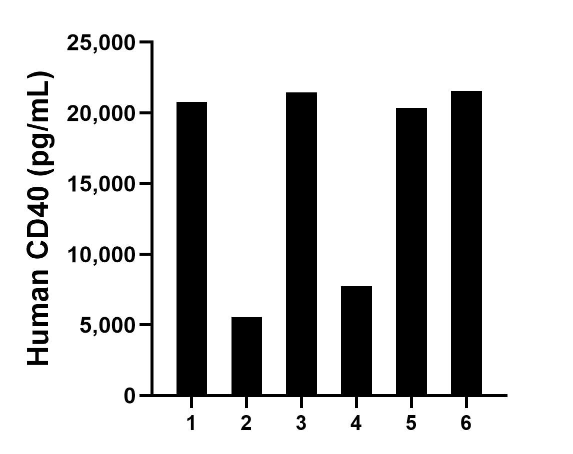 Urine of six individual healthy human donors was measured. The CD40 concentration of detected samples was determined to be 1,6246.6 pg/mL with a range of 5,532.8-21,569.7 pg/mL.	