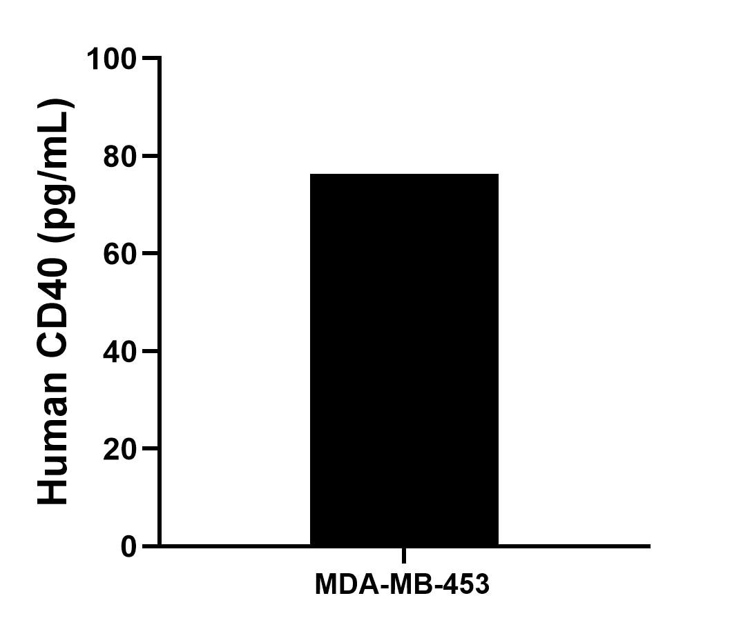 MDA-MB-453 were cultured in DMEM supplemented with 10% fetal bovine serum, 2.5 mM L-glutamine, 100 U/mL penicillin, and 100 μg/mL streptomycin sulfate. An aliquot of the cell culture supernate was removed, assayed for human CD40, and measured 76.3 pg/mL.