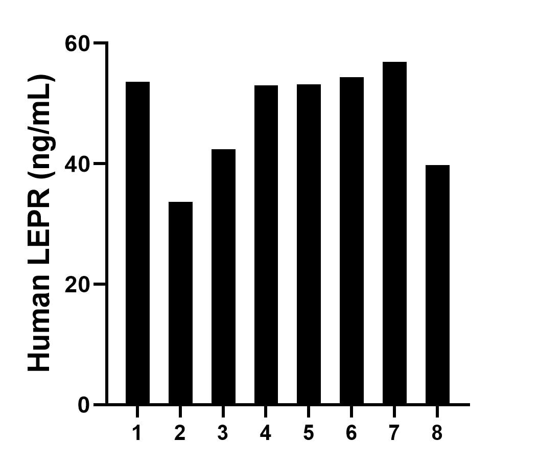 Serum of eight individual healthy human donors was measured. The human LEPR concentration of detected samples was determined to be 48.36 ng/mL with a range of 33.62 - 56.93 ng/mL.