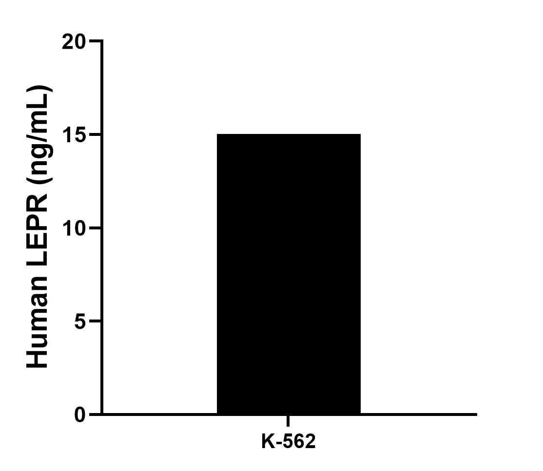 The mean LEPR concentration was determined to be 15.03 ng/mL in K-562 cell extract based on a 2.1 mg/mL extract load.