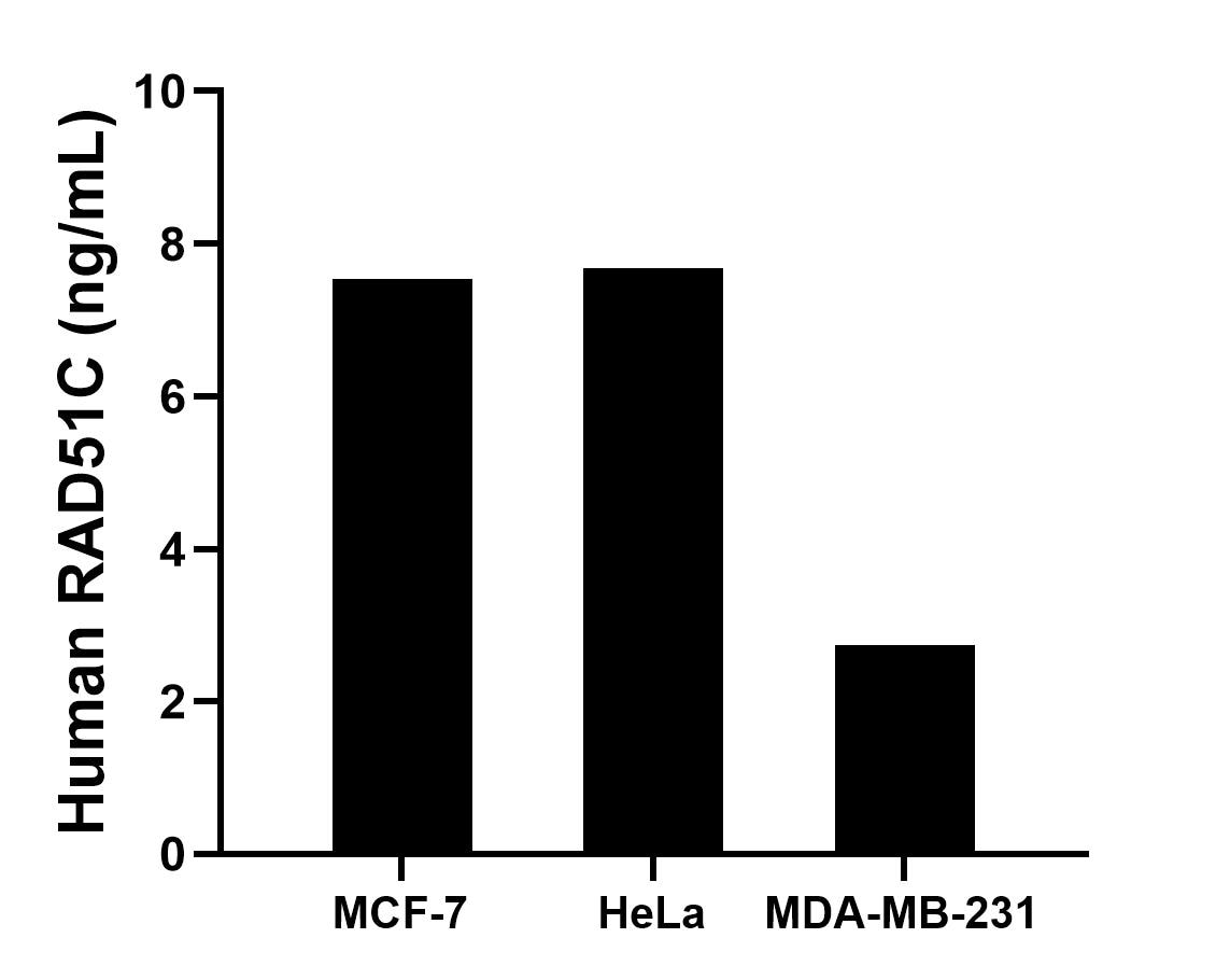 The mean RAD51C concentration was determined to be 7.5 ng/mL in MCF-7 cell extract based on a 1.2 mg/mL extract load, 7.7 ng/mL in HeLa cell extract based on a 1.0 mg/mL extract load and 2.7 ng/mL in MDA-MB-231 cell extract based on a 1.9 mg/mL extract load.