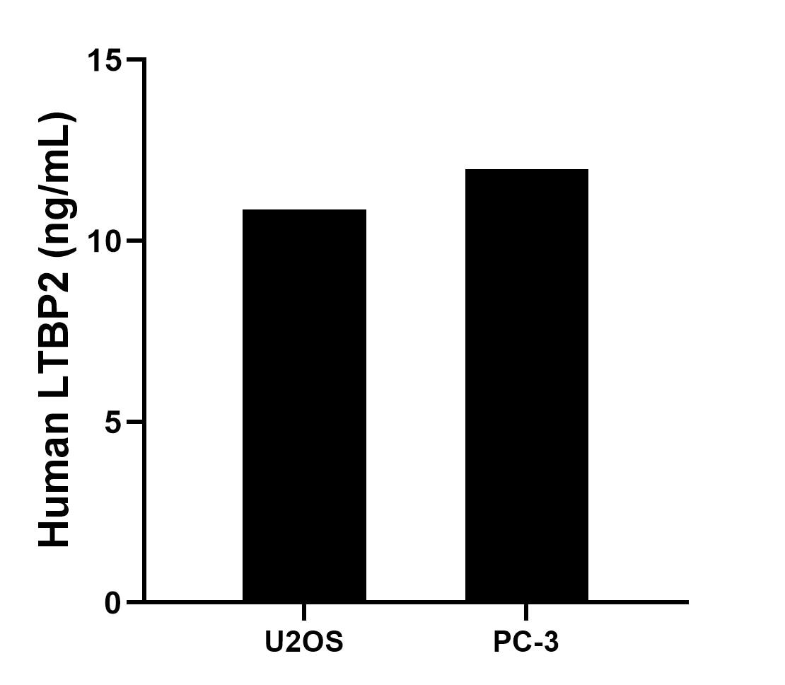 LTBP2 Antibody Sample test Standard 84574-1-PBS