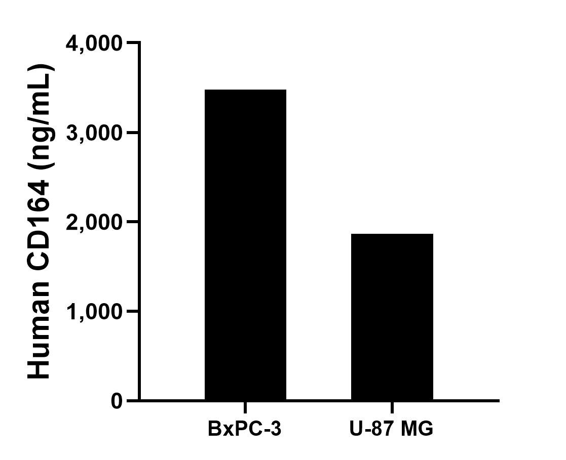 The mean CD164 concentration was determined to be 3,475.14 ng/mL in BxPC-3 cell extract based on a 5.40 mg/mL extract load and 1,866.96 ng/mL in U-87 MG cell extract based on a 1.00 mg/mL extract load. 