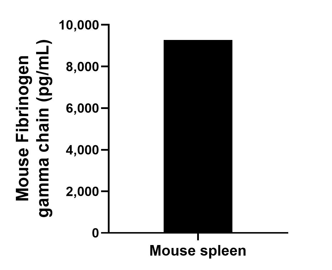The mean Fibrinogen gamma chain concentration was determined to be 9,279.6 pg/mL in mouse spleen tissue extract based on a 2.9 mg/mL extract load.