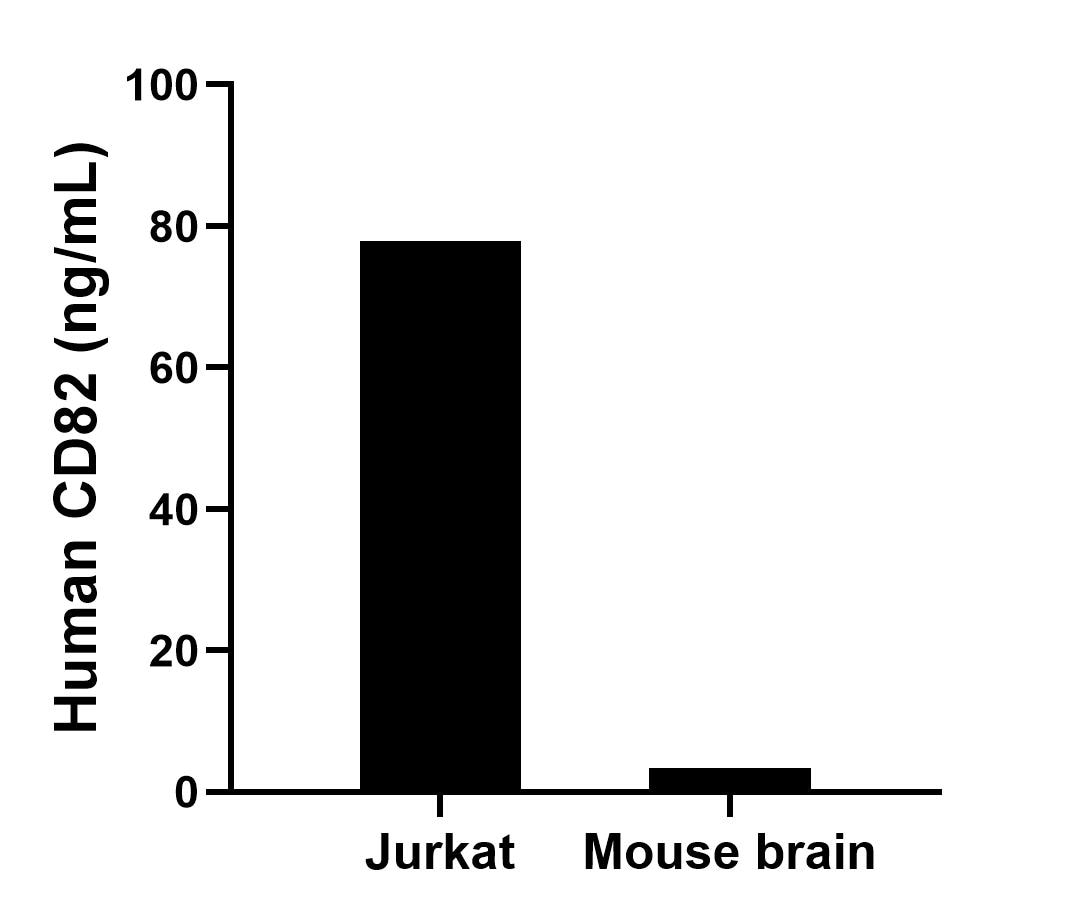 The mean CD82 concentration was determined to be 77.90 ng/mL in Jurkat cell extract based on a 1.50 mg/mL extract load and 3.45 ng/mL in mouse brain tissue extract based on a 2.90 mg/mL extract load.