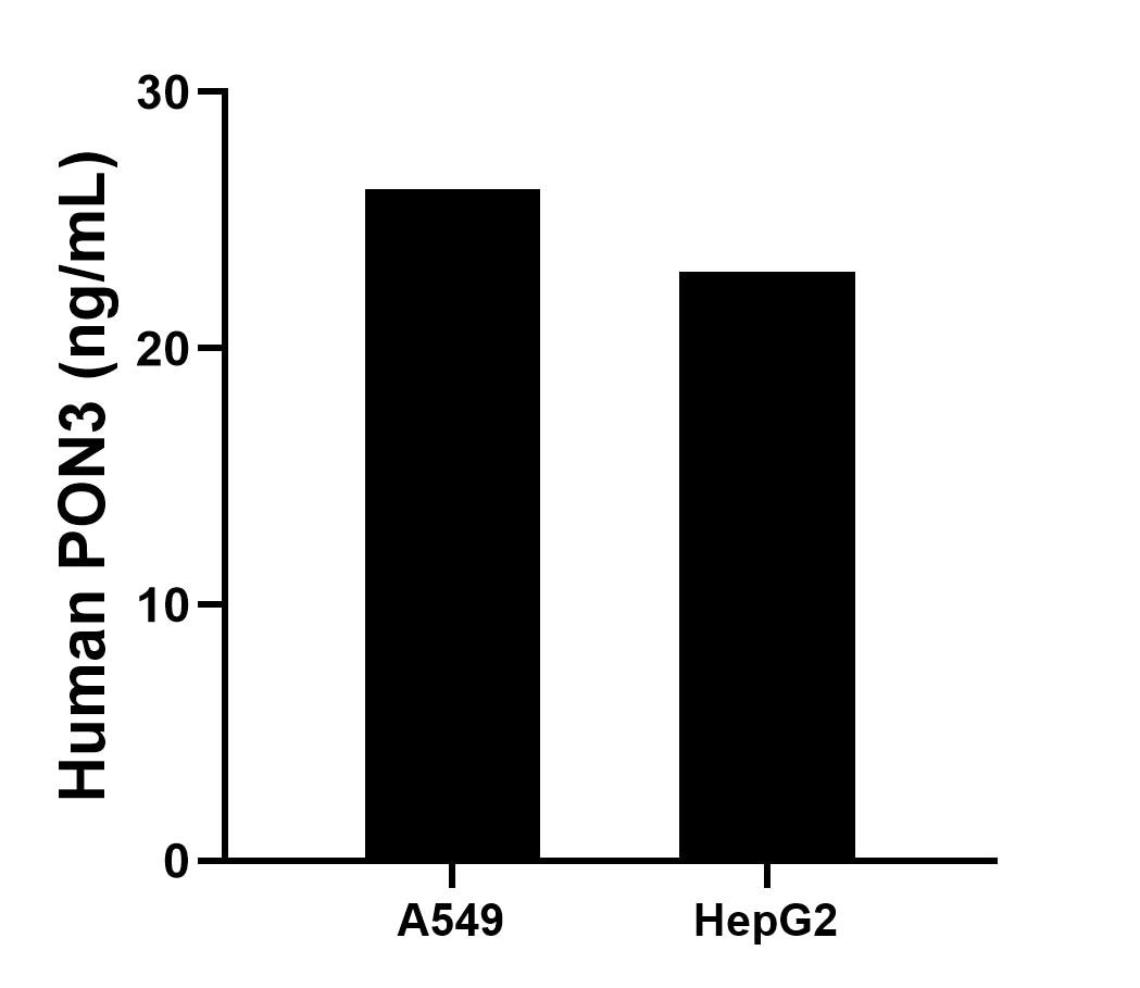 Sample test of MP01459-2