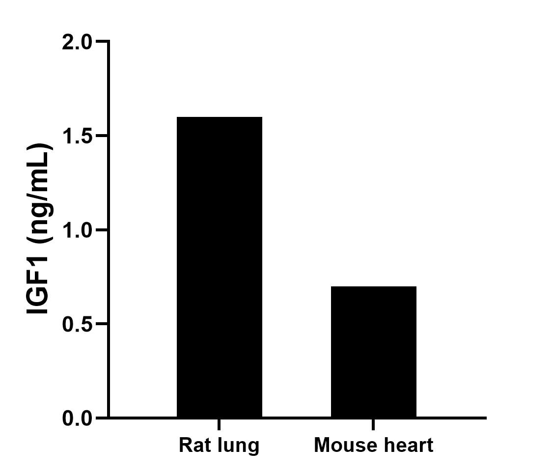 Sample test of MP01547-3