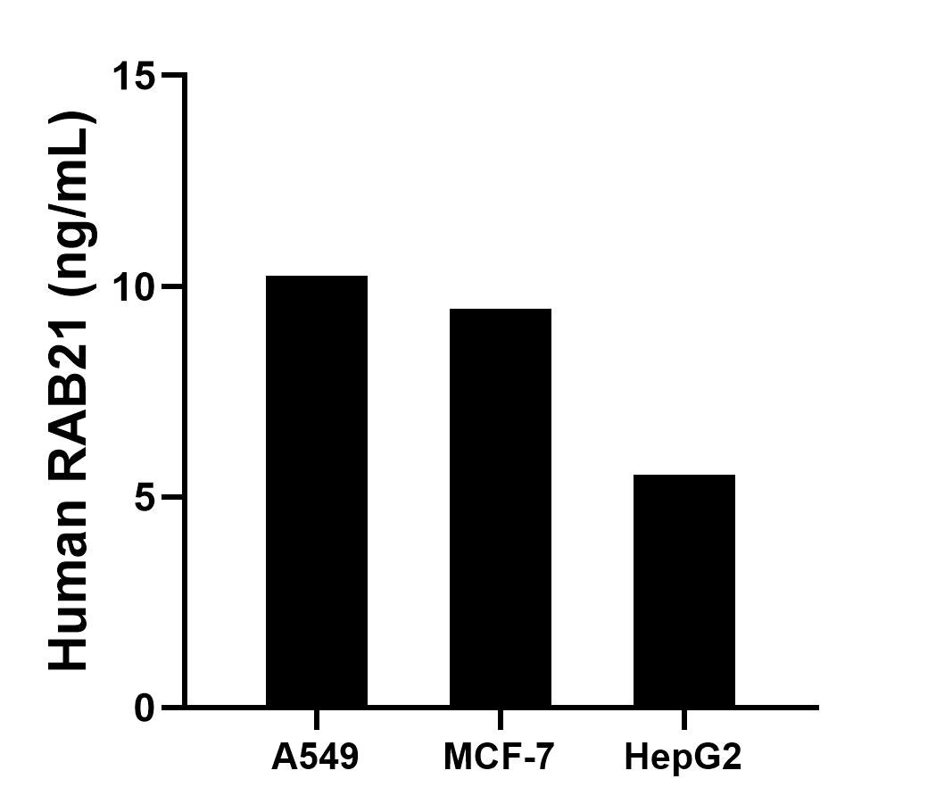 Sample test of MP01552-1