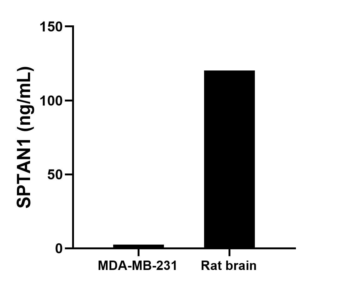 Sample test of MP01560-3