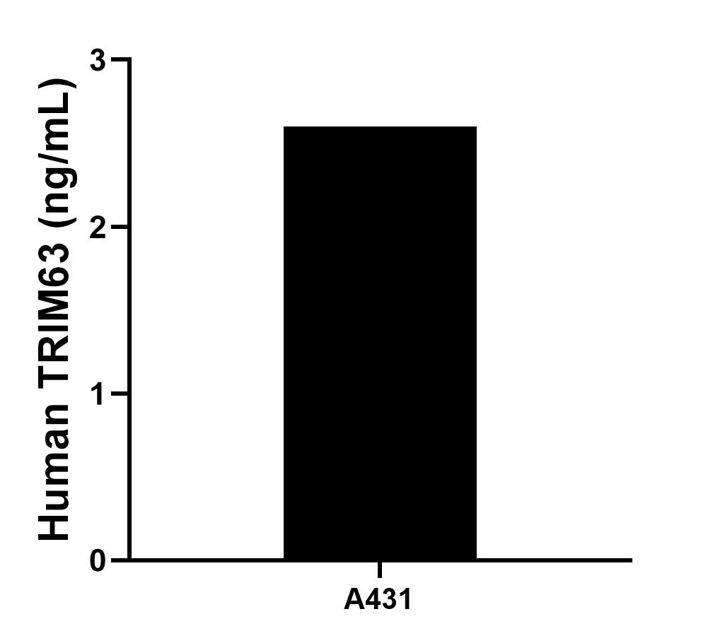 Sample test of MP01610-1